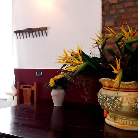 Tuscany Village Prázdninový areál Dogato